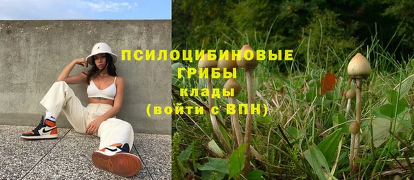 молекула духа Нязепетровск