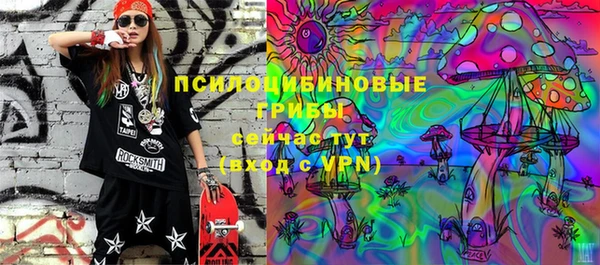 молекула духа Нязепетровск